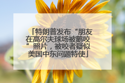 特朗普发布“朋友在高尔夫球场被鹅咬”照片，被咬者疑似美国中东问题特使